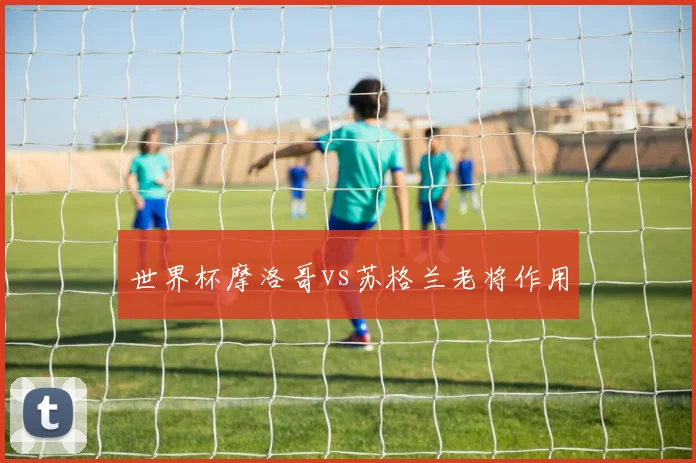 世界杯摩洛哥vs苏格兰老将作用