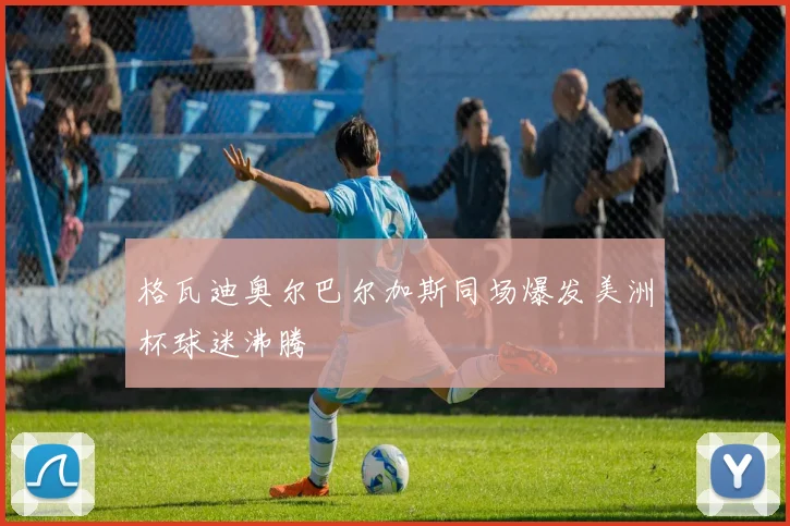 格瓦迪奥尔巴尔加斯同场爆发美洲杯球迷沸腾