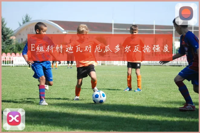 E组科特迪瓦对厄瓜多尔反抢强度