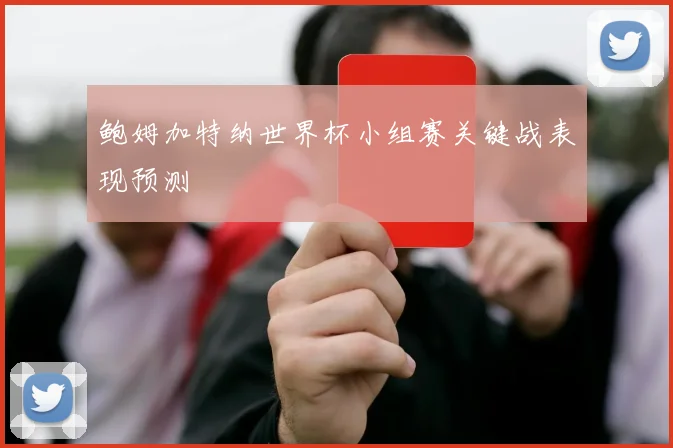 鲍姆加特纳世界杯小组赛关键战表现预测