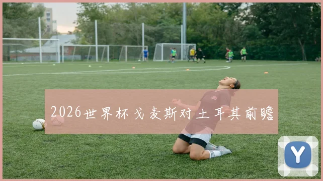 2026世界杯戈麦斯对土耳其前瞻