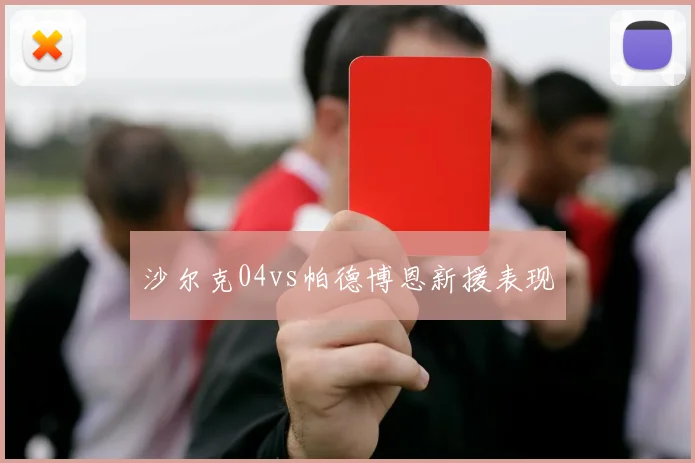 沙尔克04vs帕德博恩新援表现