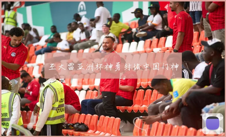 王大雷亚洲杯神勇封堵中国门神