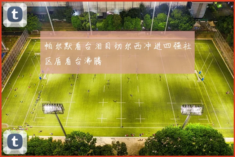 帕尔默看台泪目切尔西冲进四强社区盾看台沸腾