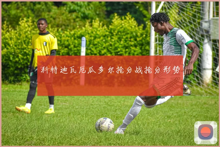 科特迪瓦厄瓜多尔抢分战抢分形势