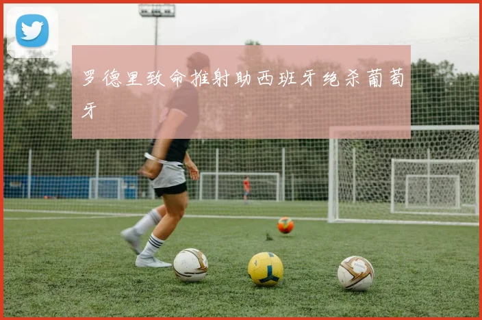 罗德里致命推射助西班牙绝杀葡萄牙
